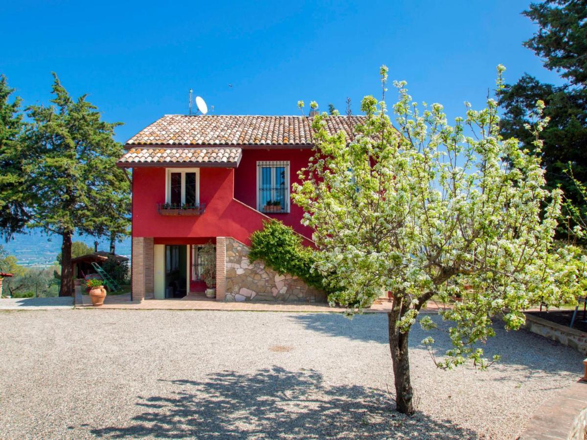 Holiday Home La Letizia By Interhome Collemancio Bagian luar foto